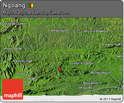 Satellite Panoramic Map of Ngoang