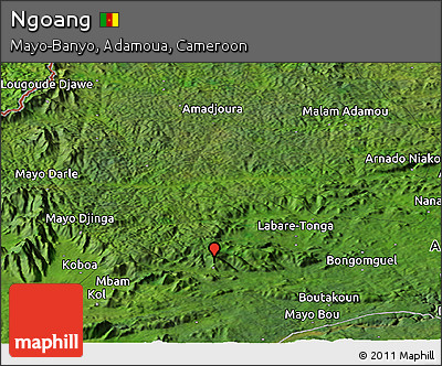 Satellite Panoramic Map of Ngoang