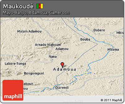 Shaded Relief Panoramic Map of Maukoudé