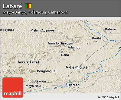 Shaded Relief Panoramic Map of Labaré