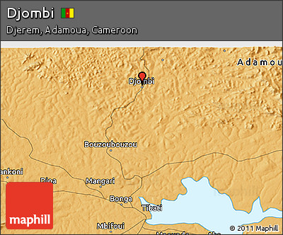 Political 3D Map of Djombi