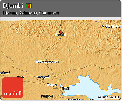 Political 3D Map of Djombi