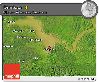 Satellite 3D Map of Dimbala