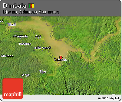 Satellite 3D Map of Dimbala
