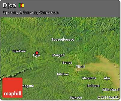 Satellite 3D Map of Djoa