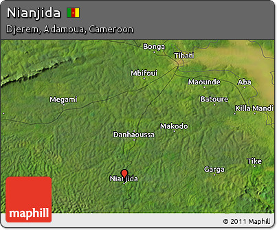 Satellite 3D Map of Nianjida