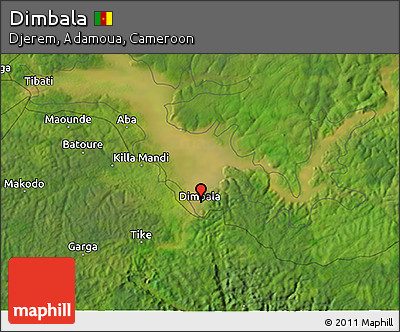 Satellite 3D Map of Dimbala