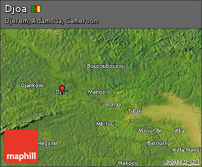 Satellite 3D Map of Djoa
