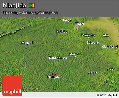 Satellite 3D Map of Nianjida