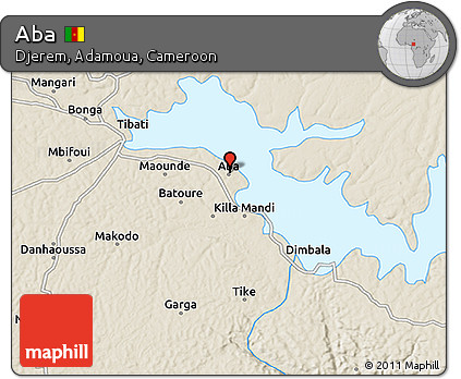 Shaded Relief 3D Map of Aba