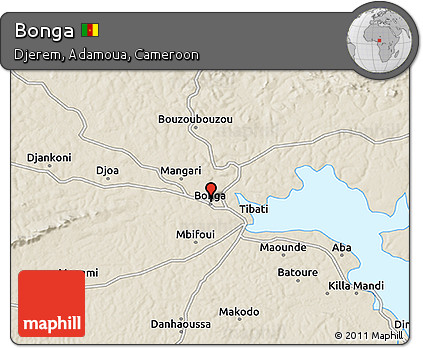 Shaded Relief 3D Map of Bonga