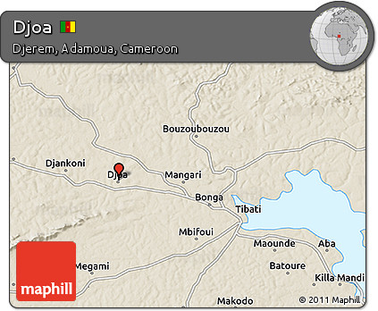 Shaded Relief 3D Map of Djoa