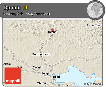 Shaded Relief 3D Map of Djombi