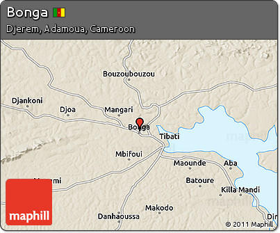 Shaded Relief 3D Map of Bonga