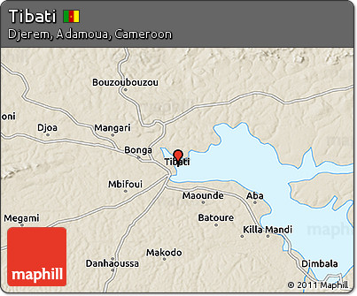 Shaded Relief 3D Map of Tibati
