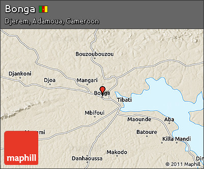 Shaded Relief 3D Map of Bonga