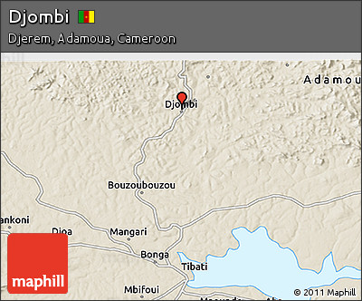 Shaded Relief 3D Map of Djombi