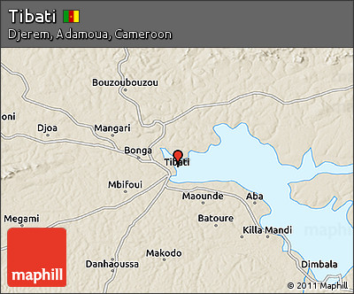 Shaded Relief 3D Map of Tibati
