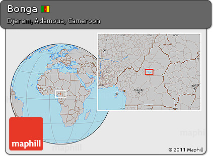 Gray Location Map of Bonga