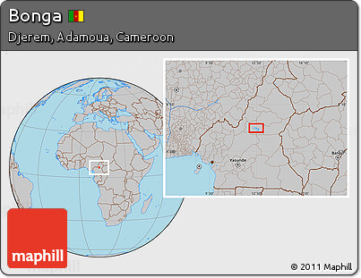 Gray Location Map of Bonga