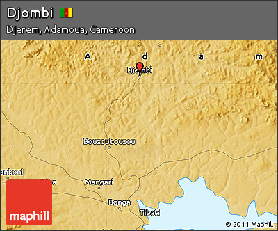 Physical Map of Djombi