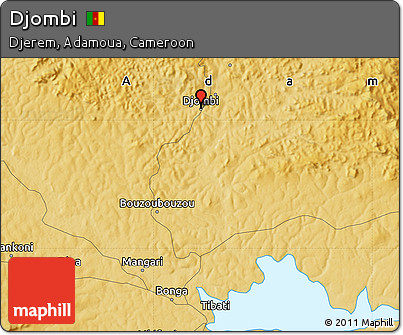 Physical Map of Djombi