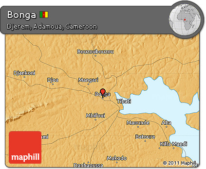 Political Map of Bonga
