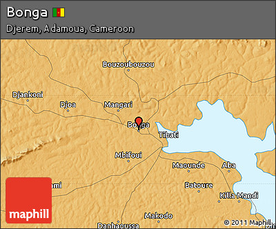 Political Map of Bonga