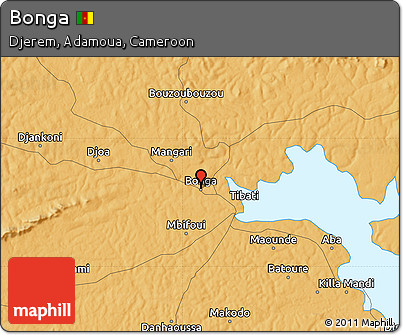 Political Map of Bonga