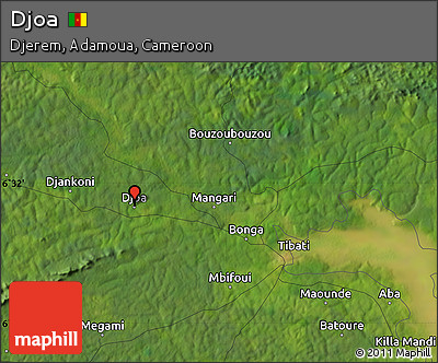 Satellite Map of Djoa