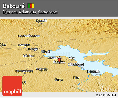 Physical Panoramic Map of Batouré