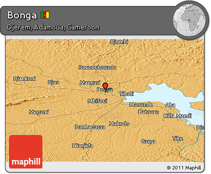 Political Panoramic Map of Bonga
