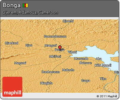 Political Panoramic Map of Bonga