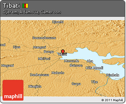 Political Panoramic Map of Tibati