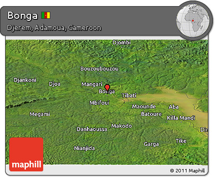 Satellite Panoramic Map of Bonga