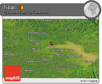 Satellite Panoramic Map of Tibati