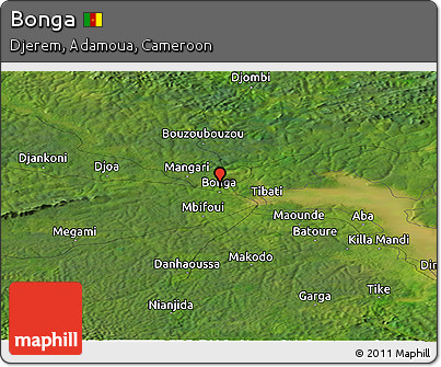 Satellite Panoramic Map of Bonga
