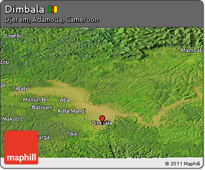 Satellite Panoramic Map of Dimbala