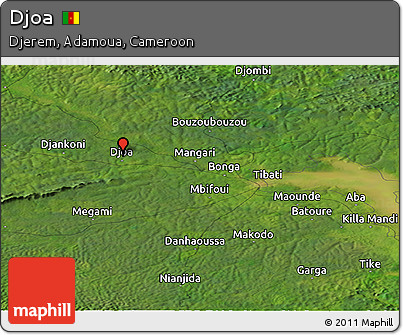 Satellite Panoramic Map of Djoa