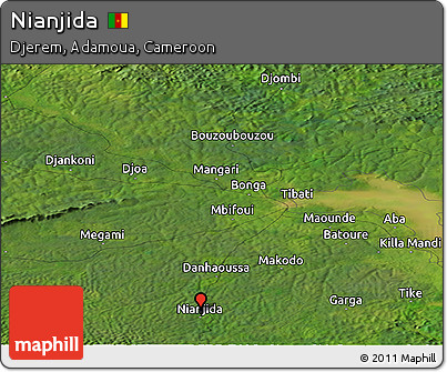 Satellite Panoramic Map of Nianjida