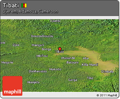 Satellite Panoramic Map of Tibati