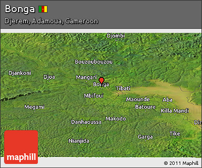 Satellite Panoramic Map of Bonga