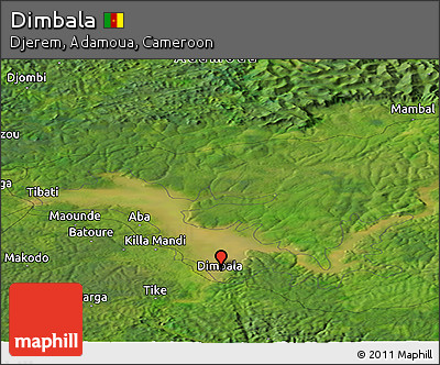 Satellite Panoramic Map of Dimbala