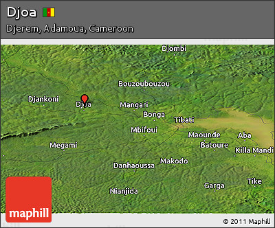 Satellite Panoramic Map of Djoa