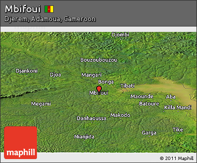 Satellite Panoramic Map of Mbifoui