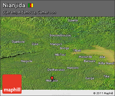 Satellite Panoramic Map of Nianjida