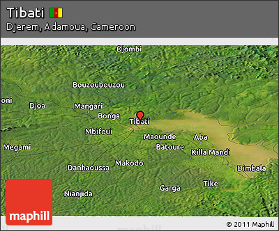 Satellite Panoramic Map of Tibati