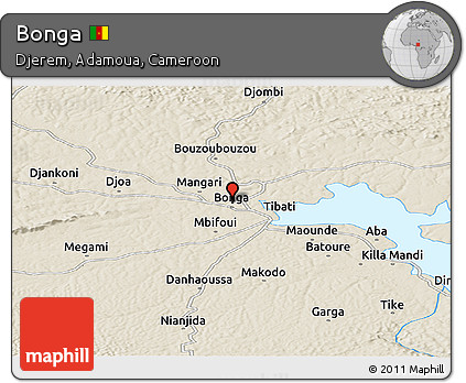 Shaded Relief Panoramic Map of Bonga