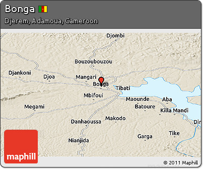 Shaded Relief Panoramic Map of Bonga