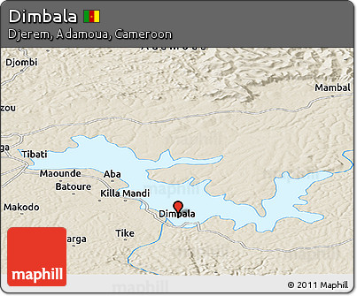 Shaded Relief Panoramic Map of Dimbala